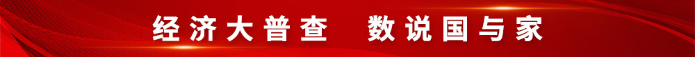 经济大普查，数说国与家